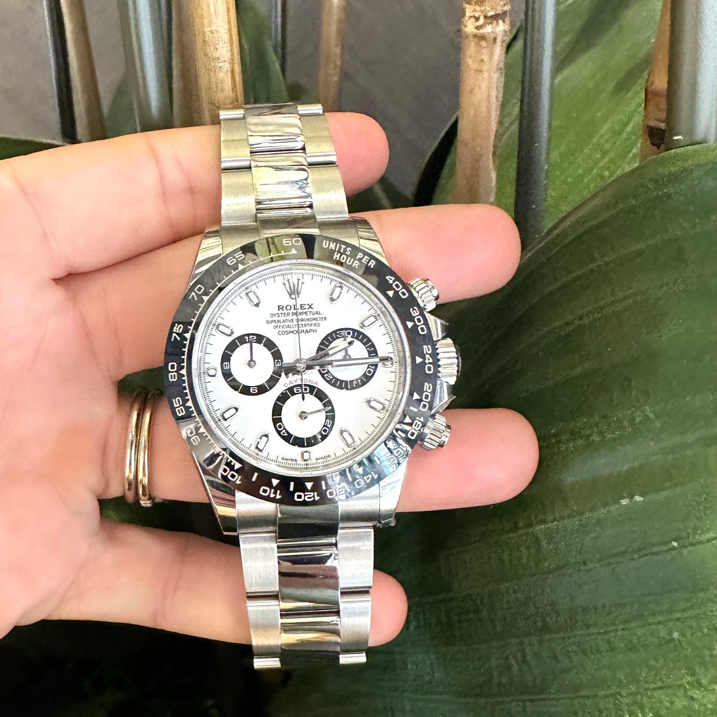 Rolex Daytona Panda